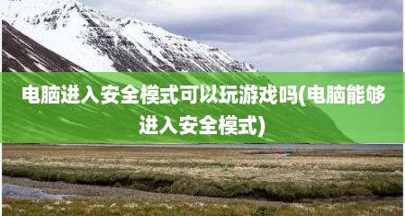 电脑进入安全模式可以玩游戏吗(电脑能够进入安全模式)