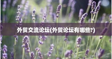 外贸交流论坛(外贸论坛有哪些?)