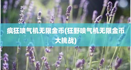 疯狂喷气机无限金币(狂野喷气机无限金币大挑战)