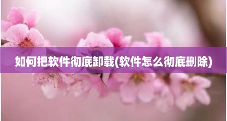 如何把软件彻底卸载(软件怎么彻底删除)