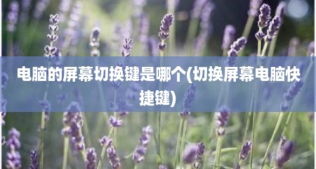 电脑的屏幕切换键是哪个(切换屏幕电脑快捷键)