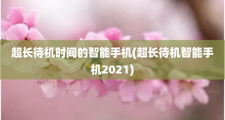 超长待机时间的智能手机(超长待机智能手机2021)