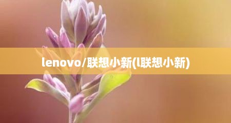 lenovo/联想小新(l联想小新)