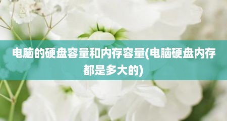 电脑的硬盘容量和内存容量(电脑硬盘内存都是多大的)