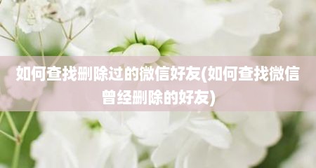 如何查找删除过的微信好友(如何查找微信曾经删除的好友)