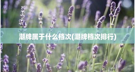 潮牌属于什么档次(潮牌档次排行)