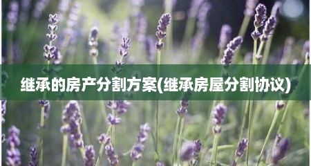 继承的房产分割方案(继承房屋分割协议)