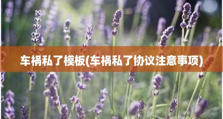 车祸私了模板(车祸私了协议注意事项)