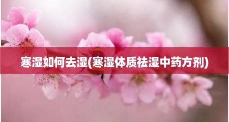 寒湿如何去湿(寒湿体质祛湿中药方剂)