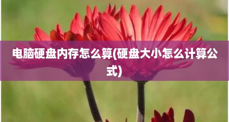 电脑硬盘内存怎么算(硬盘大小怎么计算公式)