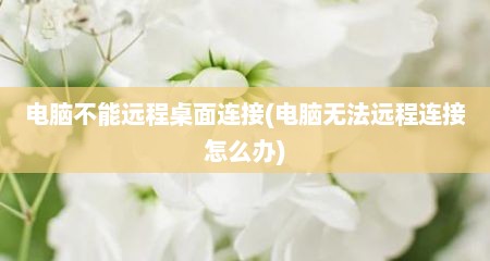 电脑不能远程桌面连接(电脑无法远程连接怎么办)