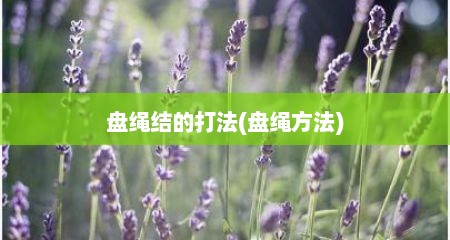 盘绳结的打法(盘绳方法)