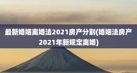 最新婚姻离婚法2021房产分割(婚姻法房产2021年新规定离婚)