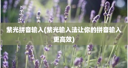 紫光拼音输入(紫光输入法让你的拼音输入更高效)