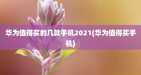 华为值得买的几款手机2021(华为值得买手机)