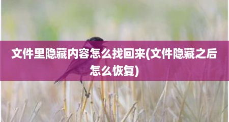 文件里隐藏内容怎么找回来(文件隐藏之后怎么恢复)