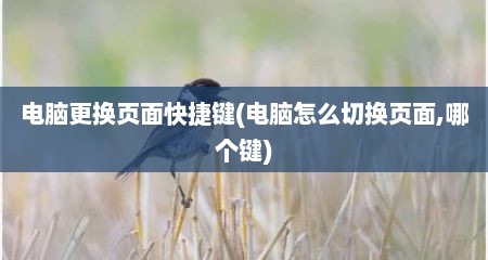 电脑更换页面快捷键(电脑怎么切换页面,哪个键)