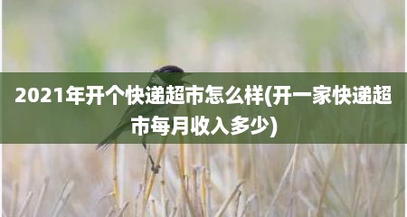 2021年开个快递超市怎么样(开一家快递超市每月收入多少)