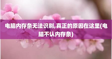 电脑内存条无法识别,真正的原因在这里(电脑不认内存条)