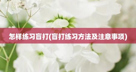 怎样练习盲打(盲打练习方法及注意事项)