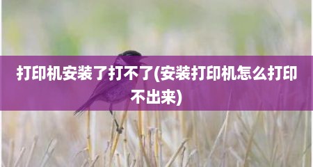 打印机安装了打不了(安装打印机怎么打印不出来)