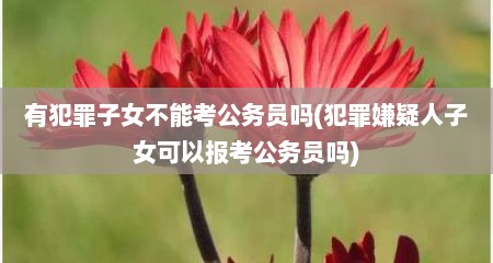 有犯罪子女不能考公务员吗(犯罪嫌疑人子女可以报考公务员吗)