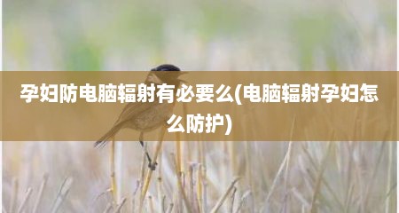 孕妇防电脑辐射有必要么(电脑辐射孕妇怎么防护)