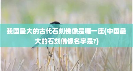 我国最大的古代石刻佛像是哪一座(中国最大的石刻佛像名字是?)