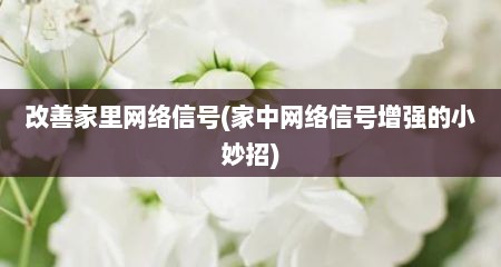 改善家里网络信号(家中网络信号增强的小妙招)