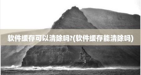 软件缓存可以清除吗?(软件缓存能清除吗)