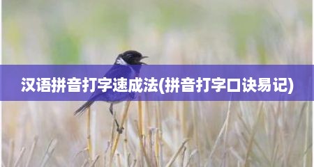 汉语拼音打字速成法(拼音打字口诀易记)