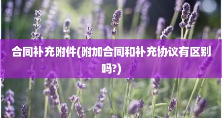 合同补充附件(附加合同和补充协议有区别吗?)