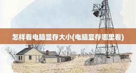 怎样看电脑显存大小(电脑显存哪里看)