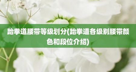 跆拳道腰带等级划分(跆拳道各级别腰带颜色和段位介绍)