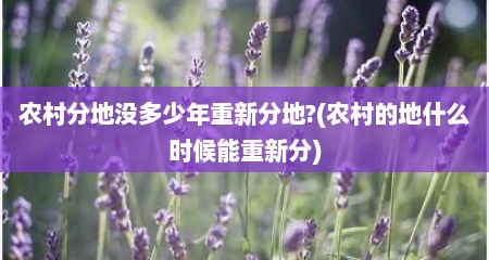 农村分地没多少年重新分地?(农村的地什么时候能重新分)