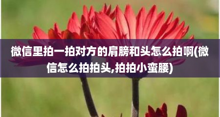 微信里拍一拍对方的肩膀和头怎么拍啊(微信怎么拍拍头,拍拍小蛮腰)