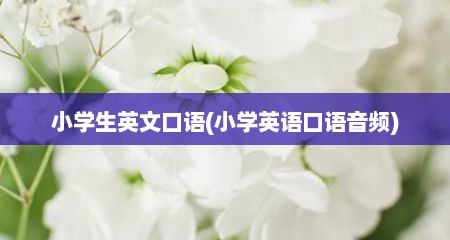 小学生英文口语(小学英语口语音频)