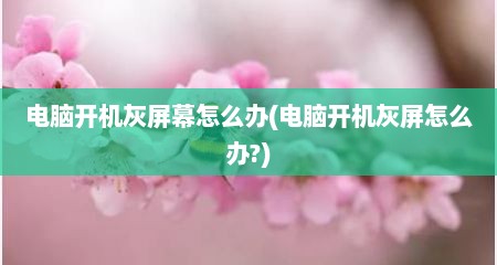 电脑开机灰屏幕怎么办(电脑开机灰屏怎么办?)