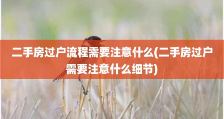 二手房过户流程需要注意什么(二手房过户需要注意什么细节)