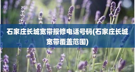 石家庄长城宽带报修电话号码(石家庄长城宽带覆盖范围)