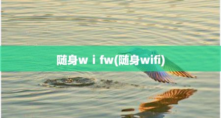 随身wⅰfw(随身wifi)