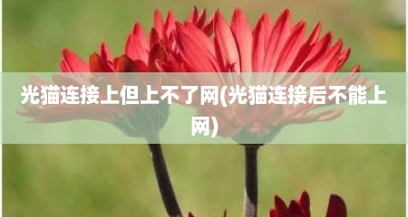 光猫连接上但上不了网(光猫连接后不能上网)