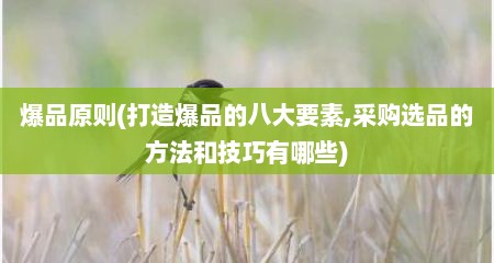 爆品原则(打造爆品的八大要素,采购选品的方法和技巧有哪些)