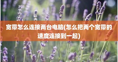 宽带怎么连接两台电脑(怎么把两个宽带的速度连接到一起)