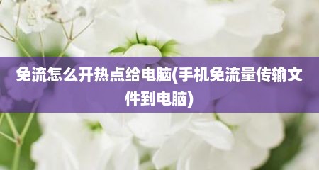 免流怎么开热点给电脑(手机免流量传输文件到电脑)