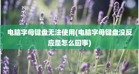 电脑字母键盘无法使用(电脑字母键盘没反应是怎么回事)