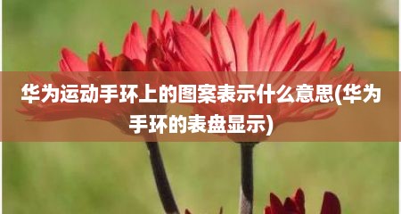 华为运动手环上的图案表示什么意思(华为手环的表盘显示)