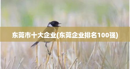 东莞市十大企业(东莞企业排名100强)