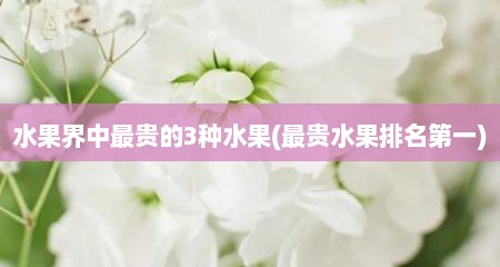 水果界中最贵的3种水果(最贵水果排名第一)