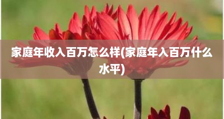 家庭年收入百万怎么样(家庭年入百万什么水平)